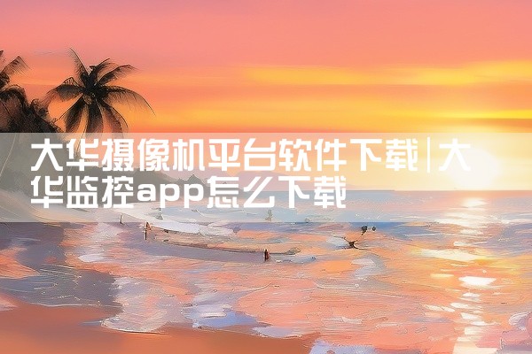 大华摄像机平台软件下载