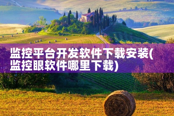 监控平台开发软件下载安装