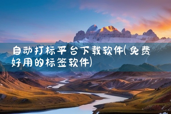 自动打标平台下载软件