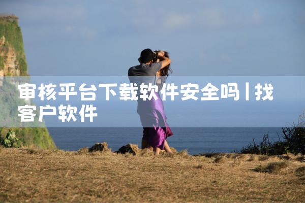 审核平台下载软件安全吗