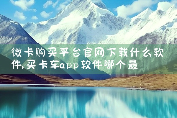 微卡购买平台官网下载什么软件