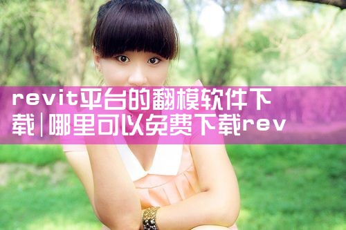 revit平台的翻模软件下载