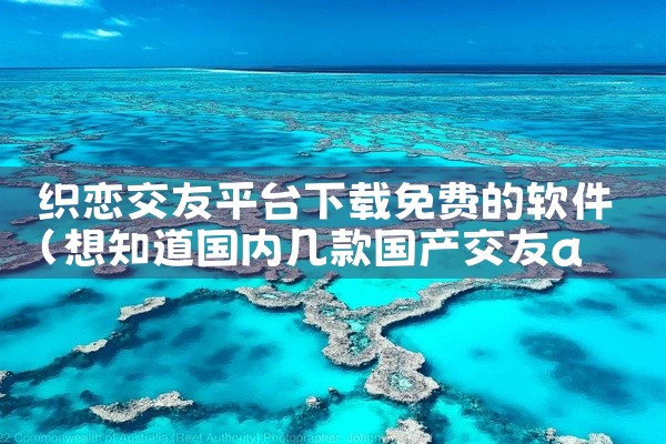 织恋交友平台下载免费的软件