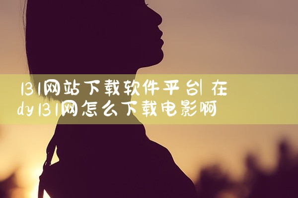 131网站下载软件平台