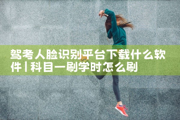 驾考人脸识别平台下载什么软件