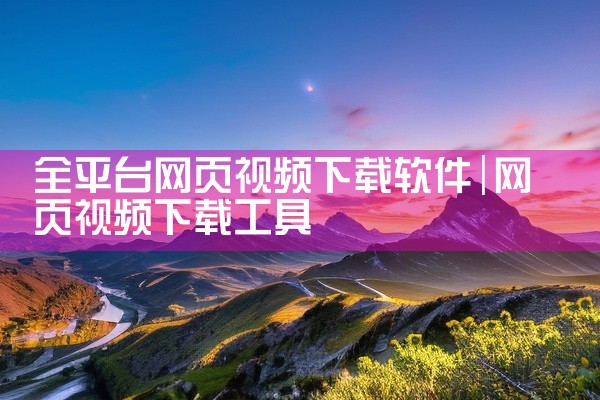 全平台网页视频下载软件