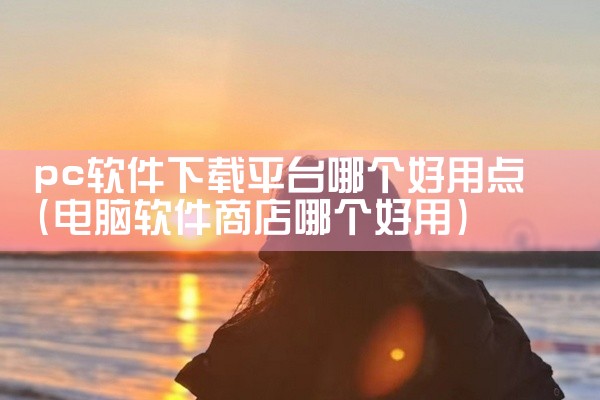 pc软件下载平台哪个好用点