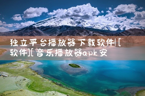 独立平台播放器下载软件
