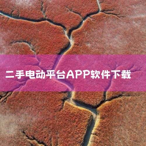 可以购买二手电瓶车的APP包括：电动车网平台、百姓网、58同城、赶集网和闲鱼。电动车网平台：该平台集行业资讯、电动车分类、二手电动车交易等功能为一体，是购买二手电瓶车的一个不错选择。百姓网：作为一个分|
